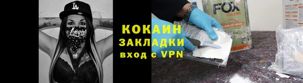 гашик Тихвин