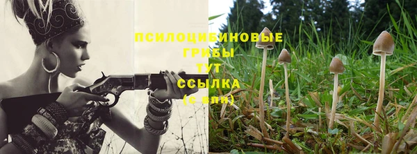 ALPHA-PVP Белокуриха