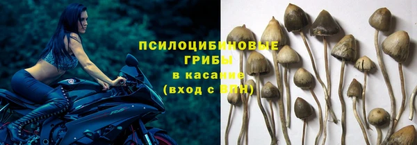 амф Белоозёрский