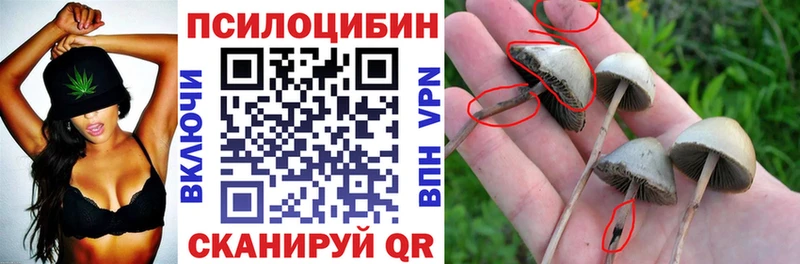 Псилоцибиновые грибы прущие грибы  Купить  Оса 